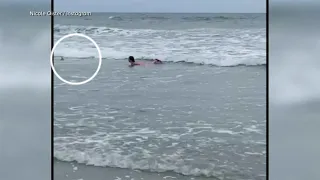 CLOSE CALL: Video shows shark swimming dangerously close to 11-year-old girl