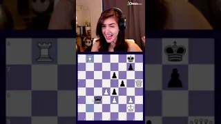 Chess girls want only one thing...