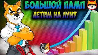 *СРОЧНО* Shiba Inu Масштабный Памп - Большое Обновление Цены SHIB