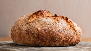 Homemade Dutch Oven Bread