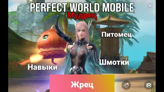 ГАЙД ЖРЕЦ МУДРЕЦ. НАВЫКИ,ПРОКАЧКА, КАМНИ PERFECT WORLD MOBILE