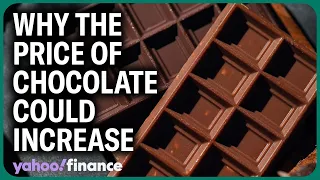 Why cocoa prices could drive up the cost of chocolate