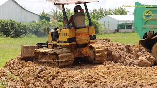 Komatsu d20p dozer working pushing soil & 5 ton dump trucks unloading soil build land