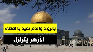 الدعاء يزلزل الجامع الازهر لفلسطين