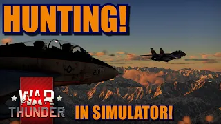 War Thunder F-14 Tomcat gameplay in SIMULATOR! Tomdog where it shines!