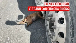 Tránh con chó đang qua đường, 4 xe tải gặp tai nạn liên hoàn