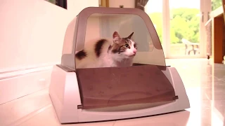 Автоматический самоочищающийся туалет для кошек PetSafe ScoopFree