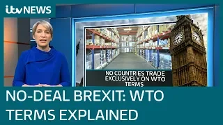 Brexit: What does leaving on WTO rules mean? | ITV News