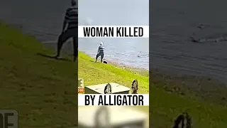 911 Call Reveals Moments After Gator Attacks Elderly Woman #alligator #animal #animals #shorts