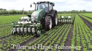 High Speed Electric In-row Weeding