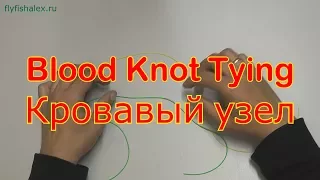 Blood knot tying