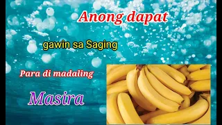 Anong dapat gawin  sa Saging para di madaling masira