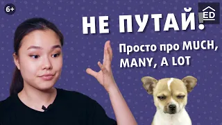 ЭТО ОСНОВА! Разница much, many, a lot | Английский для начинающих | EnglishDom