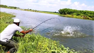 Fishing|Fisher Man Catch With BiG Rohu Fish in 5 Number Hook|Big Rohu Fishing|Silver carp fishing