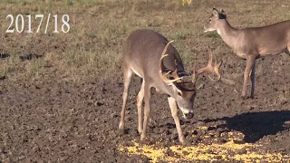 South Texas Monster Buck with 3 Years of Progression