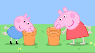 Peppa Pig in Hindi - New Shoes - Naye Joothe - Clips - हिंदी Kahaniya - Hindi Cartoons for Kids