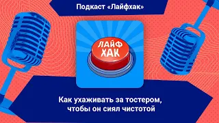 Как ухаживать за тостером, чтобы он сиял чистотой | Лайфхак