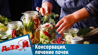 Консервация, лечение почек. "Доктор И"