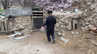 骑行新疆塔莎古道，一路杏花盛开风景非常美，晚上借宿一位奶奶家