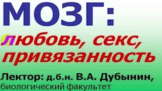 Вячеслав Дубынин - Любовь Секс Привязанность