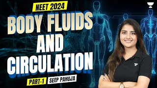 Body Fluids and Circulation in 3D | Part -1 | NEET 2024 | Seep Pahuja