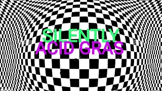 HARDTEK TRIBE ACID LIVE - SILENTLY - ACID GRAS