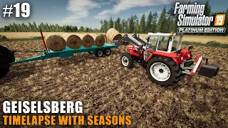 Geiselsberg Timelapse #19 Harvesting & Baling Straw, Farming Simulator 19 Seasons