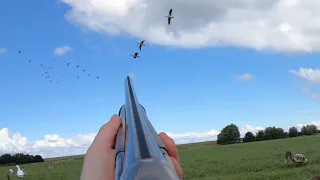 Goose hunting - THE BEST OF 2020