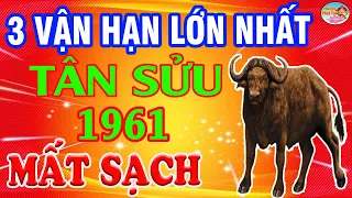 Giới Tử Vi Cảnh Báo 3 ĐẠI HOẠ Lớn Nhất Đời TÂN SỬU 1961 Tránh Hoạ Tai Ương, ĐẮC LỘC 100 Tỷ | PQPT