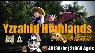 BDO Shai | Yzrahid Highlands | 40.1k Yellow Agris | 伊斯拉希德高原