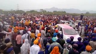 Hola Mohalla 2024 horse riding show anandpur sahib#video#trending #shikha