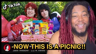 NOW THIS IS A CHAOTIC PICNIC! a TikTok Shop picnic with Jake & Johnnie | REACTION