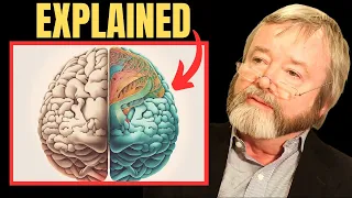 The Real Difference Between The Left & Right Brain Hemispheres - Iain McGilchrist