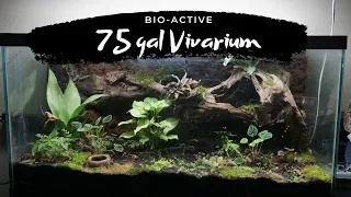 75 Gal Bio-Active Vivarium Build