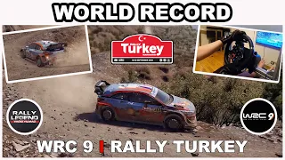 World record in Rally Turkey / Hyundai i20 WRC