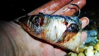 SOME NIGHTS ARE THERE TO TEST US!!!! FISHING ON A ROUGH WET & WINDY NIGHT (UK SEA FISHING)