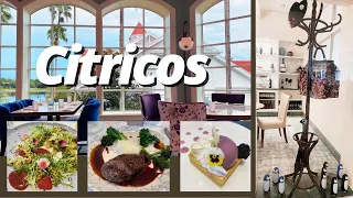 Citricos Restaurant at Disney's Grand Floridian Resort