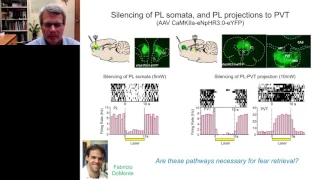 Greg quirk -  Prefrontal control of learned fear and avoidance