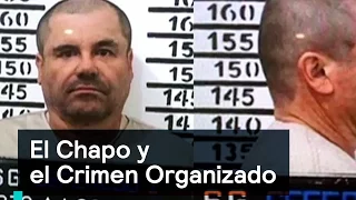 El Chapo y el crimen organizado, el análisis - Despierta con Loret