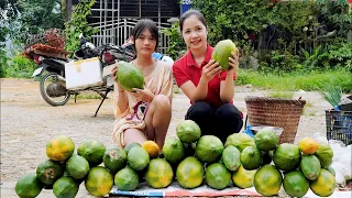 Harvest Papaya Garden Goes To The Market Sell - Cooking Food For Pigs - Live With Nature