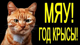 Гирченко В. "МЯУ, ГОД КРЫСЫ!" Видеоклип № 162