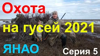 ОХОТА НА ГУСЕЙ 2021. Серия 5/Goose hunting 2021. Series 5