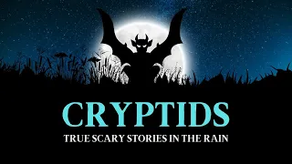 3.5 HOURS of TRUE Cryptid Stories in the Rain | TRUE Scary Stories in the Rain