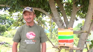 Proyecto Meliponicultura Magdalena medio y Nordeste de Antioquia-Video Resumen