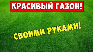 КРАСИВЫЙ ГАЗОН своими руками!!! Посадка газона весной!