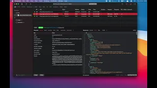 Preview your Requests/Responses with Proxyman macOS