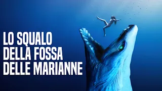 Lo Squalo Più Spaventoso il Megalodonte Della Fossa Delle Marianne