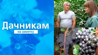 Дачникам на заметку. Выпуск от 21 08 2021