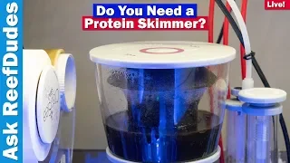 Do you need a protein Skimmer?  Pros and cons of skimmer vs Skimmerless reef tanks