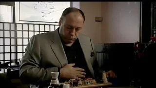 The Sopranos - Various experts state their opinion about Tony Soprano's weight